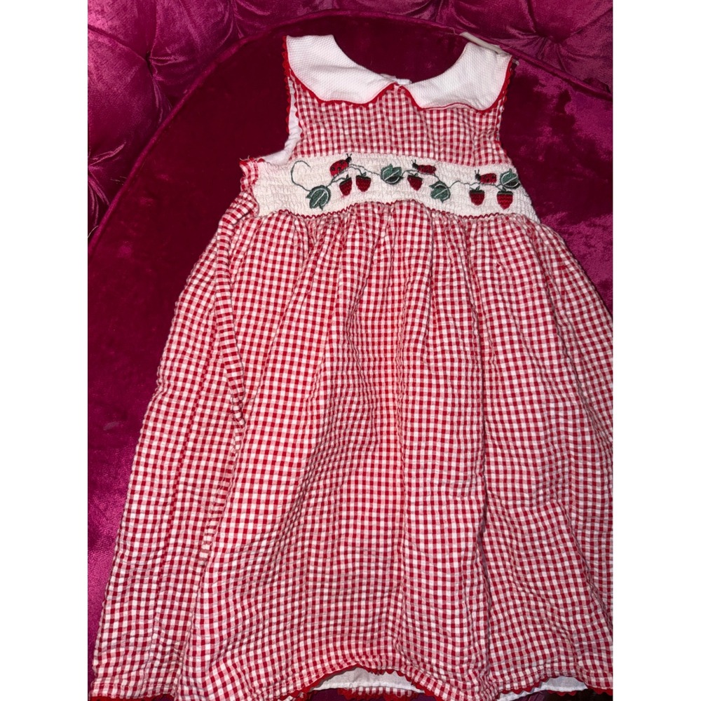 BT Kids Red Gingham Smocked Strawberry Ladybug Dress Toddler 4T Peter Pan Collar